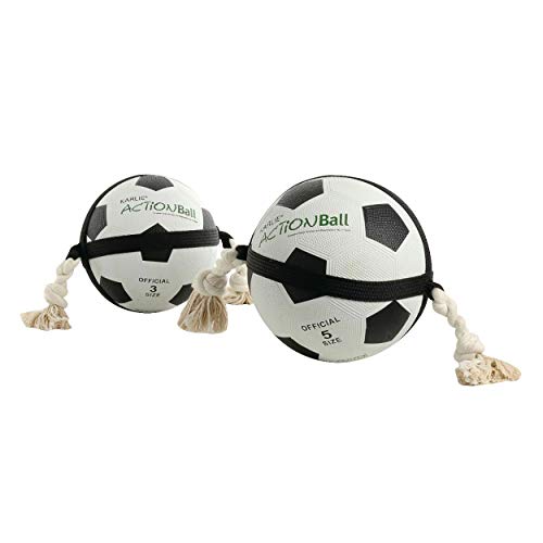 Sharples & Grant Ltd Action Ball Dog Toy by Karlie