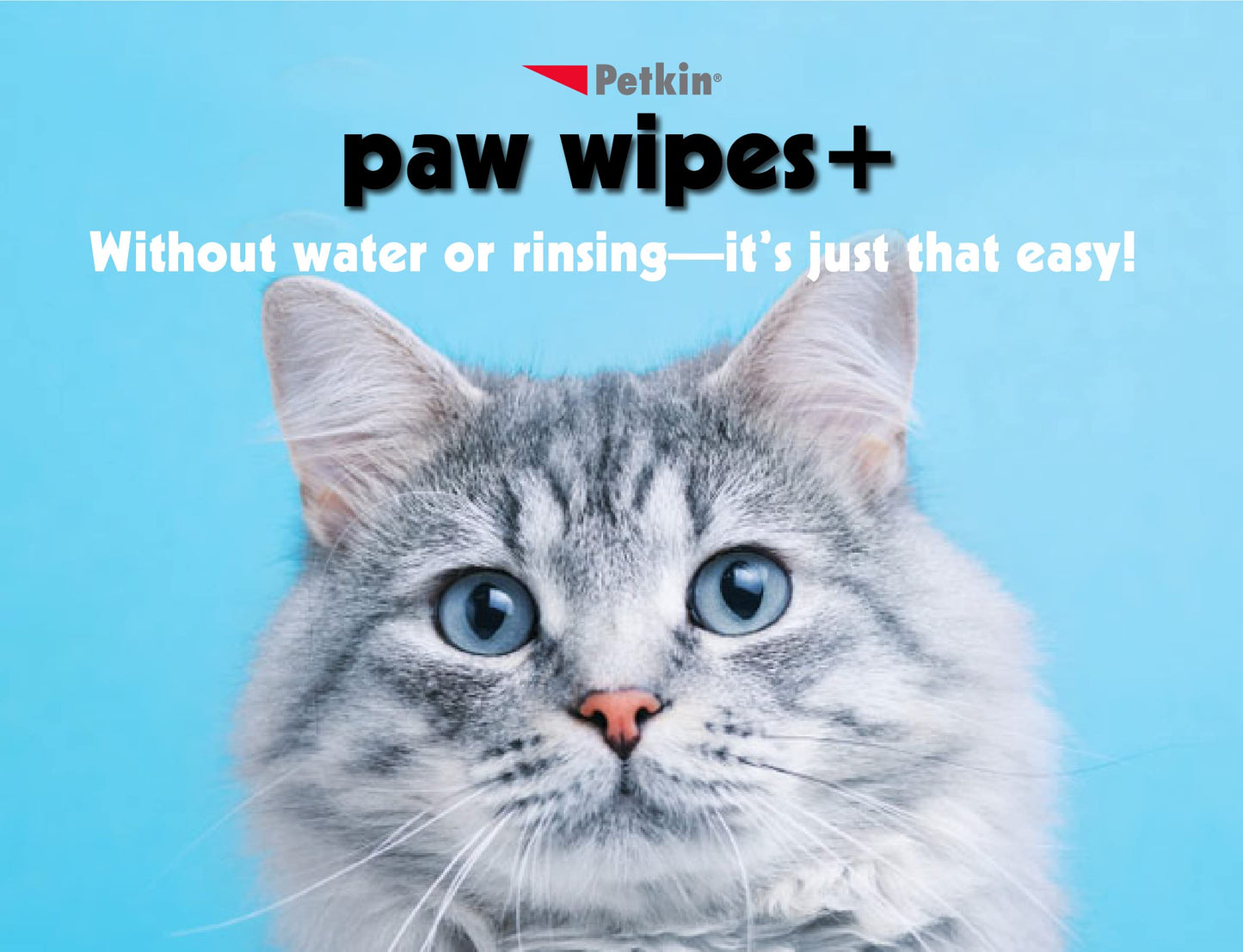 Petkin Paw Wipes, White, 100 Count (Pack of 1)