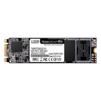 Team MS30 (TM8PS7256G0C101) 256GB