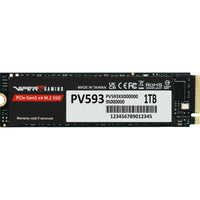 Partiot PV593 (PV593P1TBM28H) 1TB NVMe SSD