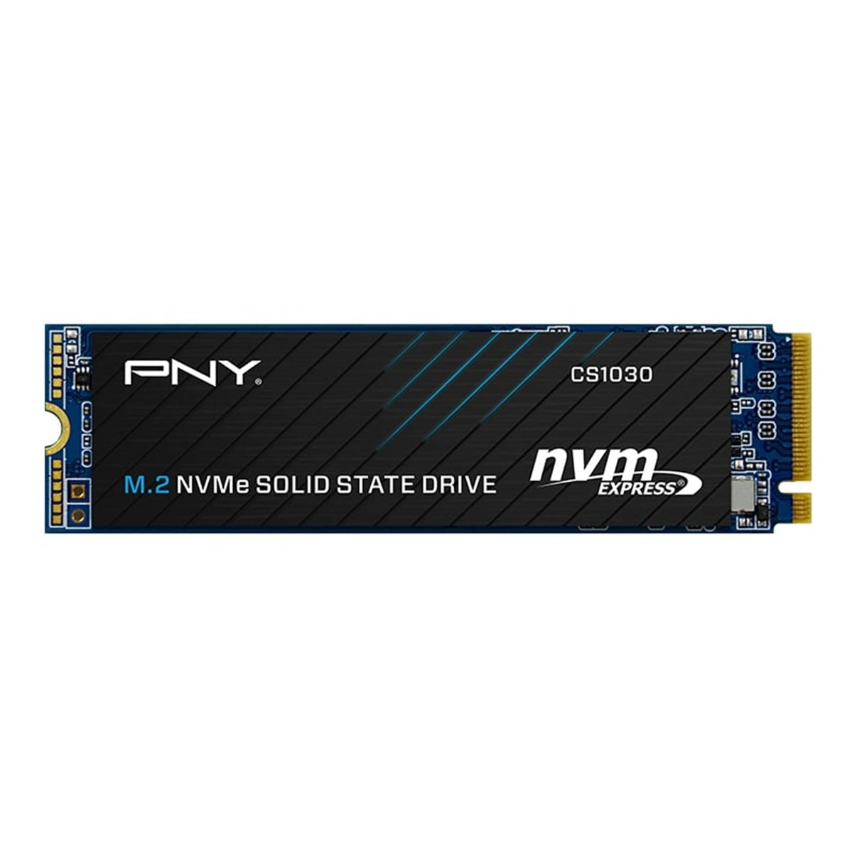 PNY CS1030 (M280CS1030-250-RB) 250GB SSD