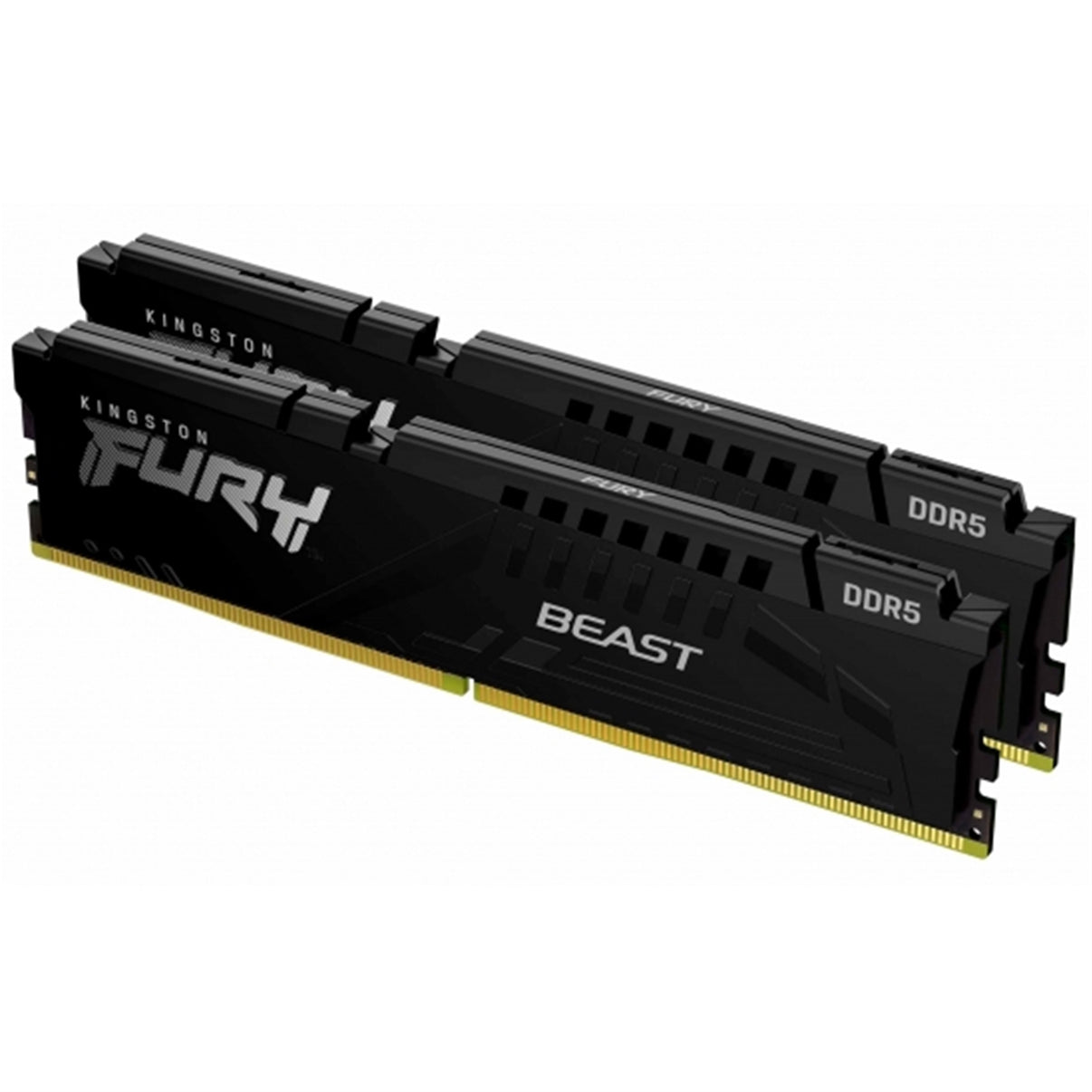 Kingston FURY Beast (KF552C40BB2K2-64) 64GB (32BG x 2) System Memory