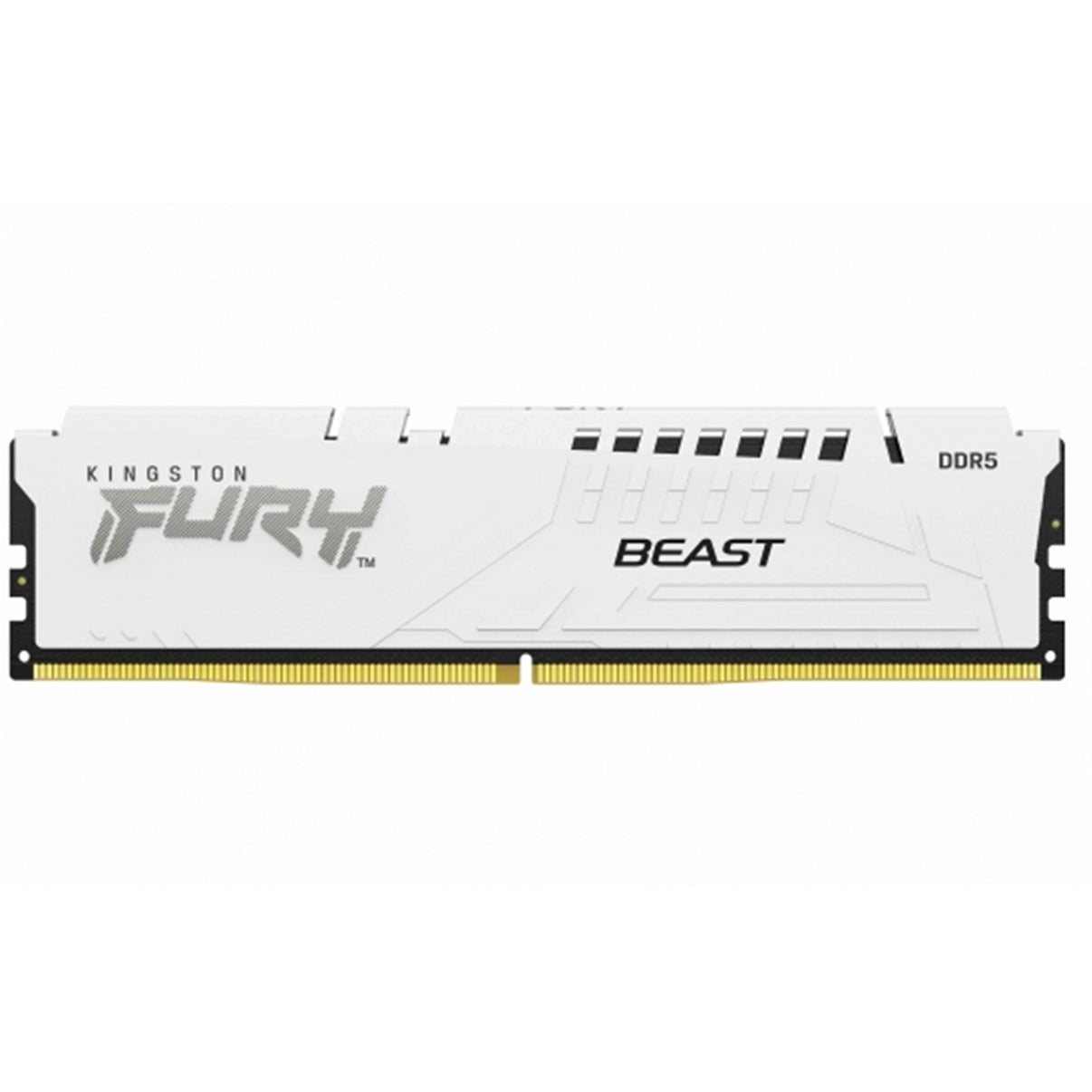 Kingston FURY Beast (KF560C36BWE2-16) 16GB System Memory
